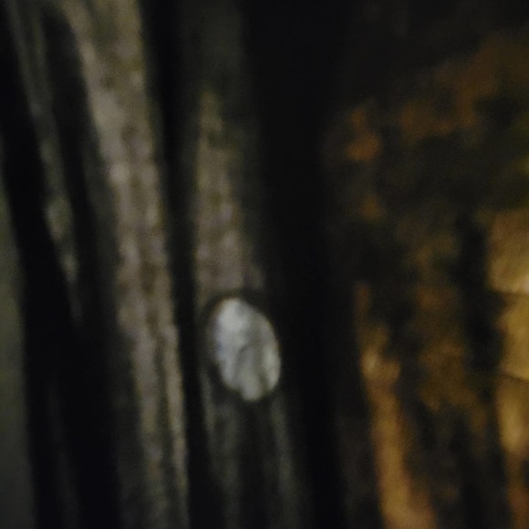 Ann Taylor women's black dress blouse with pleated front size medium - Picture 10 of 11